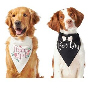 Frisco Flower Girl Best Dog Reversible Wedding Dog Bandana